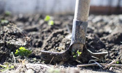 Shovel digging into soil